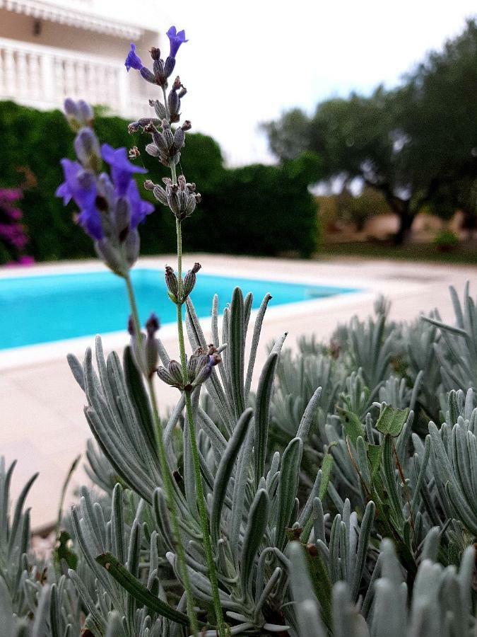 Holiday Home Vila Emma Debeljak Exterior foto